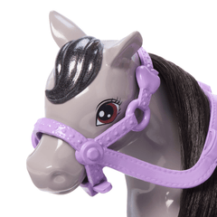 Barbie  Chelsea  Coffret  Poupée et Poney, Casque, Genoux Pliables